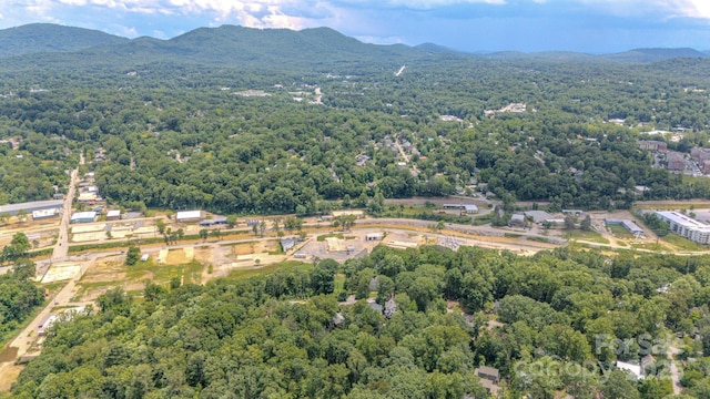 99999 Westchester Dr, Asheville, NC 28803 - photo 20