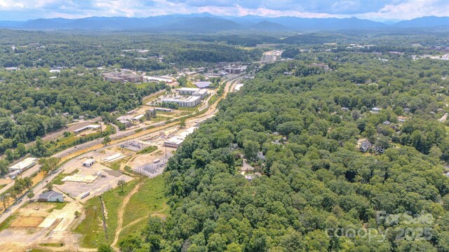 99999 Westchester Dr, Asheville, NC 28803 - photo 21