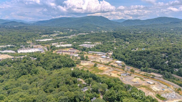 99999 Westchester Dr, Asheville, NC 28803 - photo 22