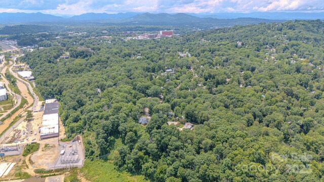 99999 Westchester Dr, Asheville, NC 28803 - photo 23