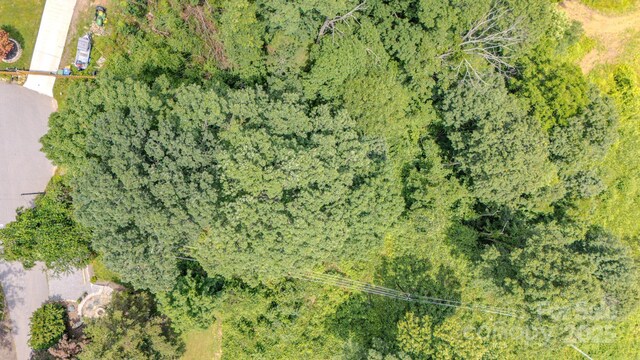 99999 Westchester Dr, Asheville, NC 28803 - photo 26