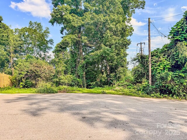 99999 Westchester Dr, Asheville, NC 28803 - photo 28