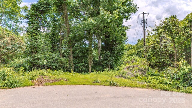 99999 Westchester Dr, Asheville, NC 28803 - photo 29