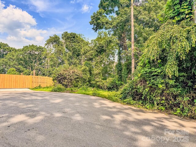 99999 Westchester Dr, Asheville, NC 28803 - photo 30