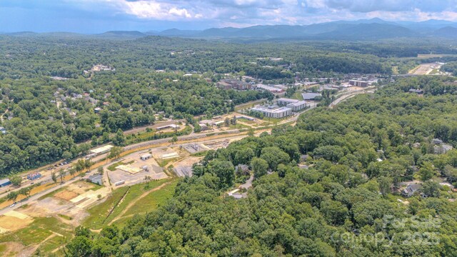 99999 Westchester Dr, Asheville, NC 28803 - photo 31