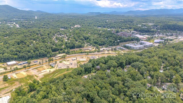99999 Westchester Dr, Asheville, NC 28803 - photo 32