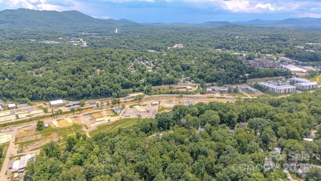 99999 Westchester Dr, Asheville, NC 28803 - photo 33