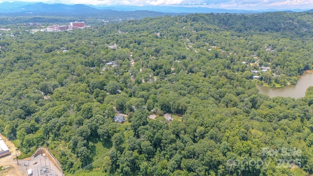 99999 Westchester Dr, Asheville, NC 28803 - photo 34