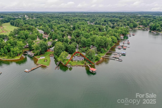 7945 Placid Ct, Denver, NC 28037 - drone / aerial view of a large body of water and a forest