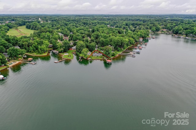 7945 Placid Ct, Denver, NC 28037 - drone / aerial view of a large body of water and a forest