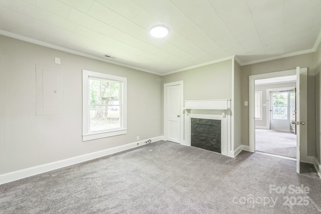 807 3rd St, Kings Mountain, NC 28086 - unfurnished living room featuring carpet floors, ornamental molding, and a fireplace
