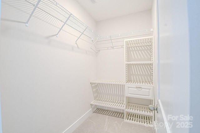 4714 Blanchard Way, Charlotte, NC 28226 - walk in closet featuring carpet floors