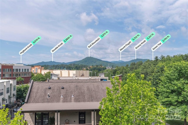 5 Farleigh St Unit 303, Asheville, NC 28803 - view of mountain backdrop