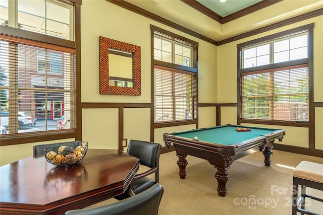 5 Farleigh St Unit 303, Asheville, NC 28803 - game room featuring carpet floors, crown molding, and pool table