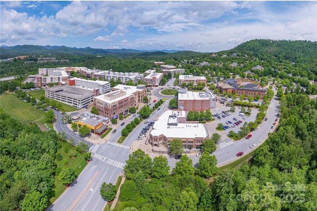 5 Farleigh St Unit 303, Asheville, NC 28803 - bird's eye view of a mountainous background