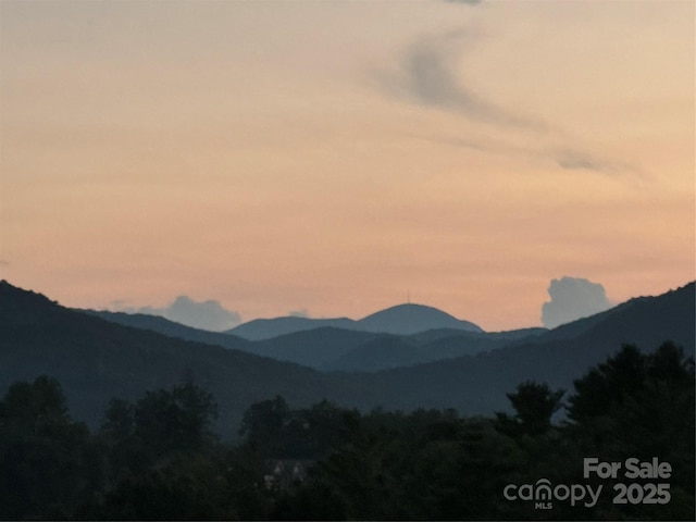 5 Farleigh St Unit 303, Asheville, NC 28803 - view of mountain backdrop