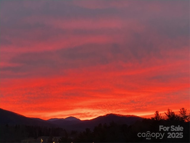 5 Farleigh St Unit 303, Asheville, NC 28803 - view of mountain background