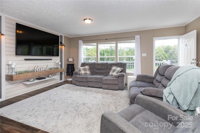 600 Old Mars Hill Hwy, Weaverville, NC 28787 - living area featuring wood finished floors and plenty of natural light