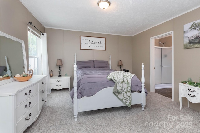 600 Old Mars Hill Hwy, Weaverville, NC 28787 - bedroom with light carpet, crown molding, and a textured ceiling