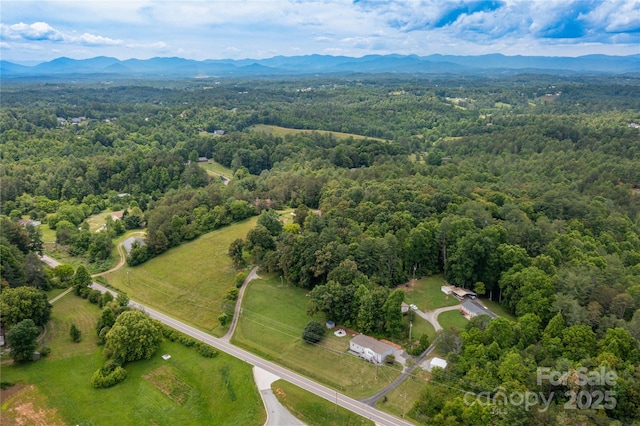 600 Old Mars Hill Hwy, Weaverville, NC 28787 - aerial view of a forest