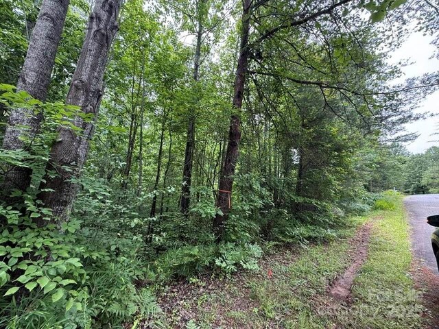 0 Woody Cir Unit 11, Tryon, NC 28782 - photo 5