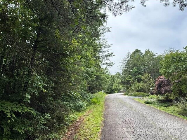 0 Woody Cir Unit 11, Tryon, NC 28782 - photo 6