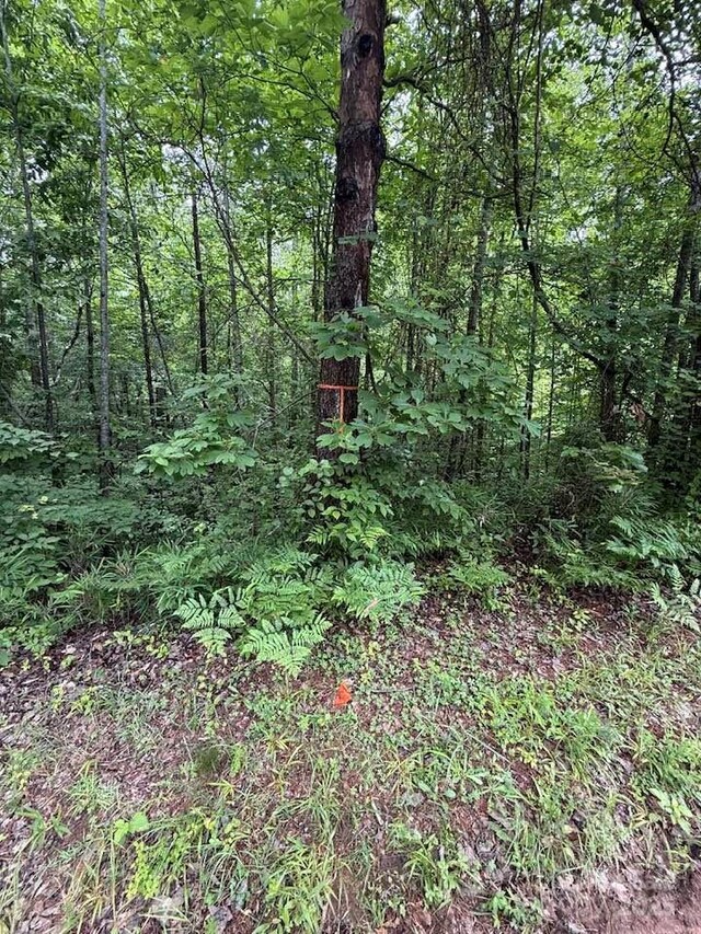 0 Woody Cir Unit 11, Tryon, NC 28782 - photo 8