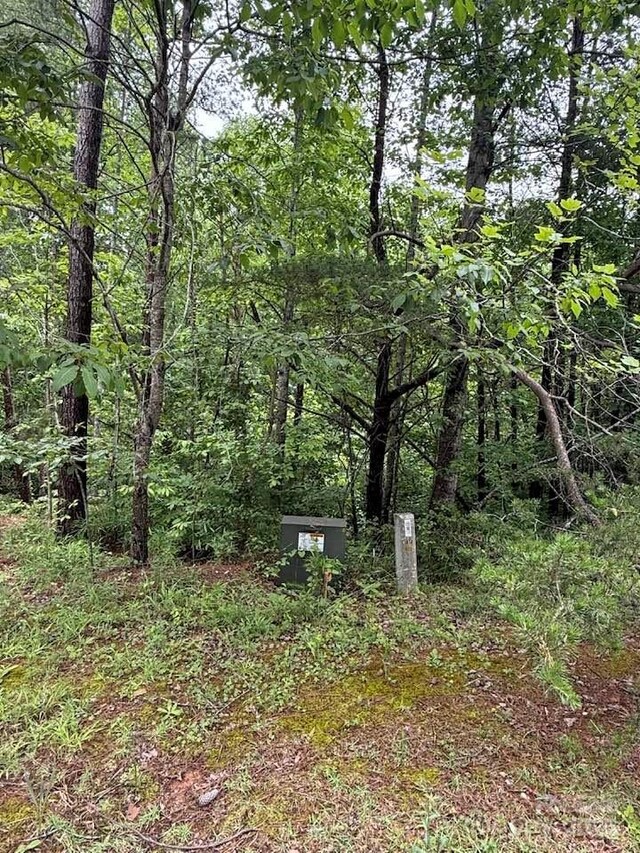 0 Woody Cir Unit 11, Tryon, NC 28782 - photo 9