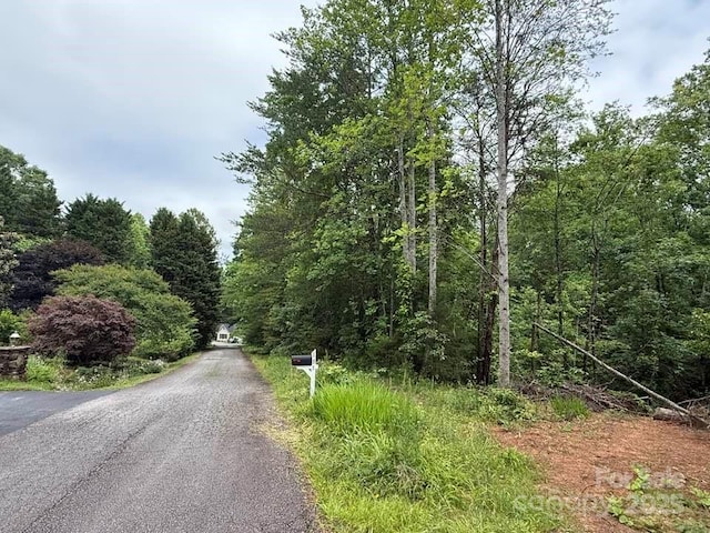 0 Woody Cir Unit 11, Tryon, NC 28782 - photo 1