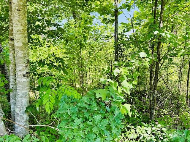 LOT903 High Valley Way Lot 903, Lenoir, NC 28645