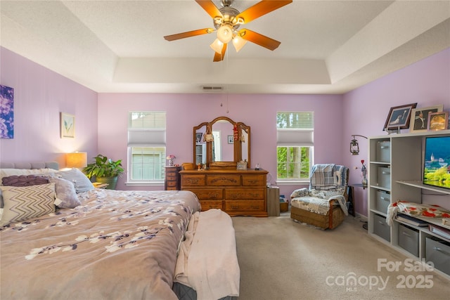 256 Rose St, Mooresville, NC 28117 - bedroom with a tray ceiling, carpet flooring, and ceiling fan