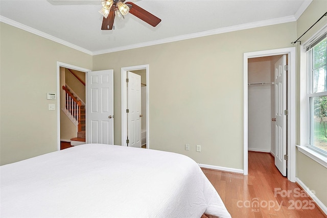 4263 Melrose Club Dr, Matthews, NC 28105 - bedroom featuring a walk in closet, wood finished floors, ornamental molding, multiple windows, and a closet