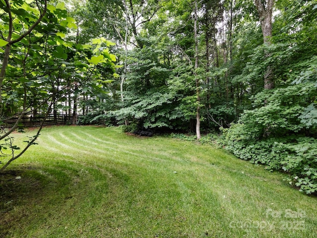 1423 Piper Ct, Concord, NC 28025 - view of yard