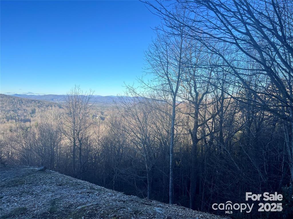 000 Roxworth Ct, Flat Rock, NC 28731 - photo 1