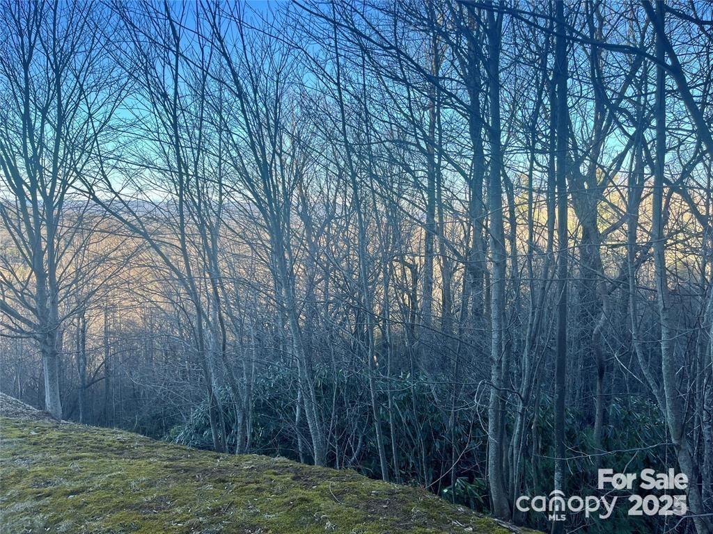 000 Roxworth Ct, Flat Rock, NC 28731 - photo 2