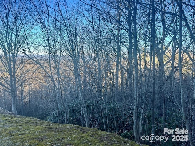 000 Roxworth Ct, Flat Rock, NC 28731 - photo 2