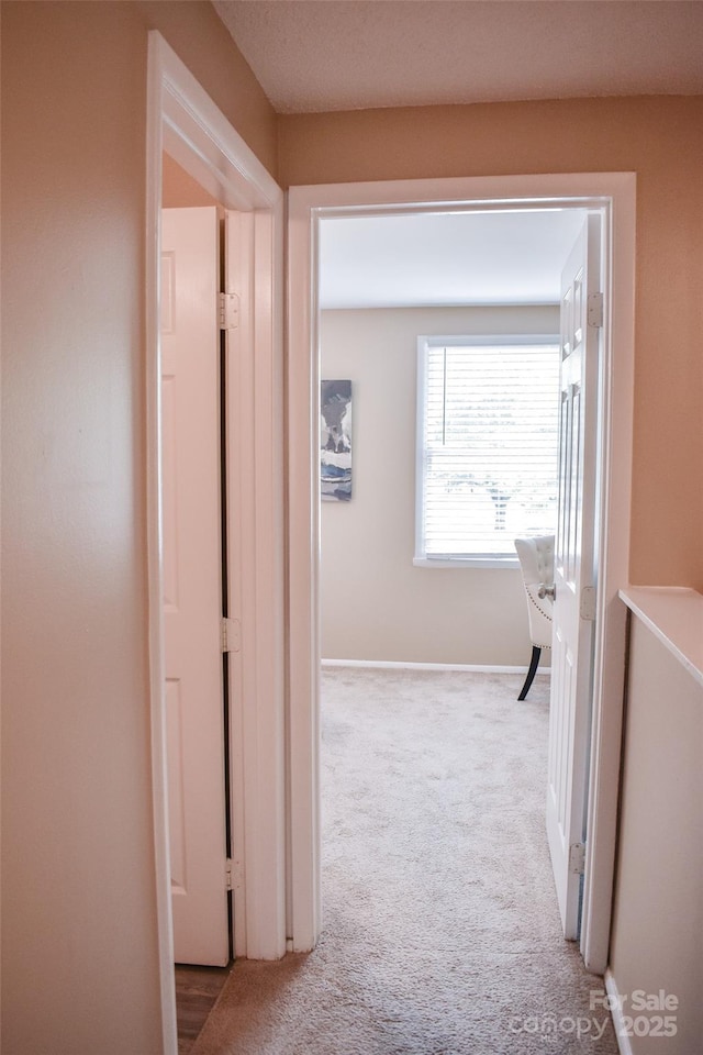 7526 Holly Grove Ct, Charlotte, NC 28227 - photo 11