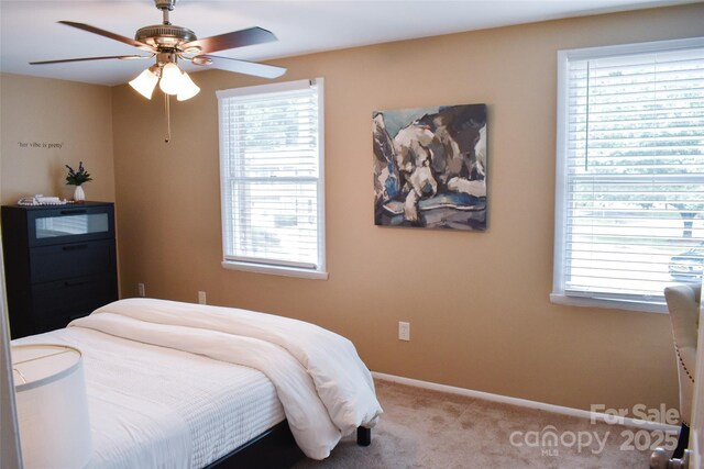 7526 Holly Grove Ct, Charlotte, NC 28227 - photo 12