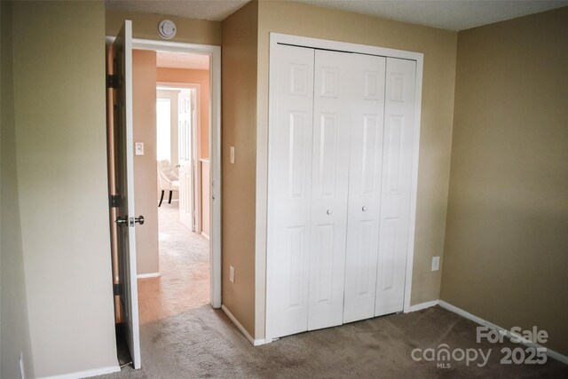7526 Holly Grove Ct, Charlotte, NC 28227 - photo 32
