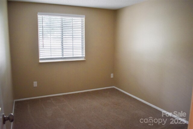 7526 Holly Grove Ct, Charlotte, NC 28227 - photo 35
