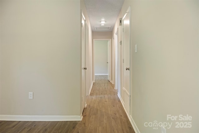 1218 Milan Rd, Charlotte, NC 28216 - photo 12