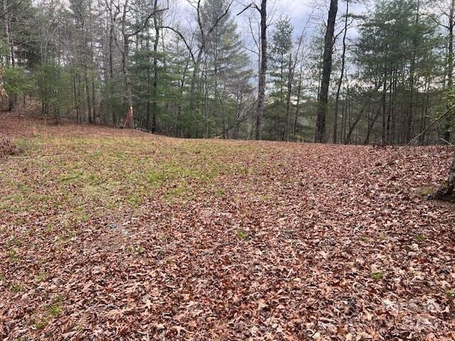 2035 Lower Tuskeegee Rd, Robbinsville, NC 28771