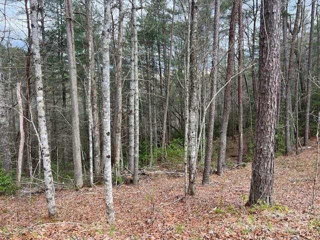 2035 Lower Tuskeegee Rd, Robbinsville, NC 28771