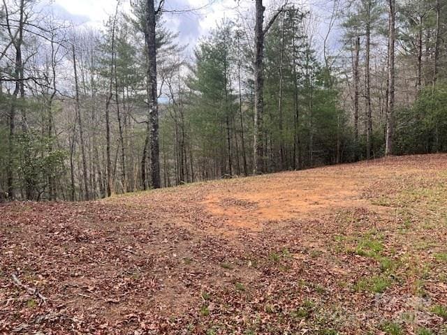 2035 Lower Tuskeegee Rd, Robbinsville, NC 28771