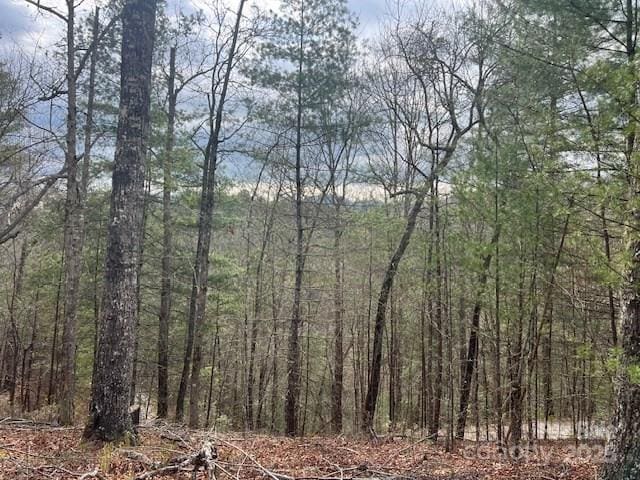 2035 Lower Tuskeegee Rd, Robbinsville, NC 28771