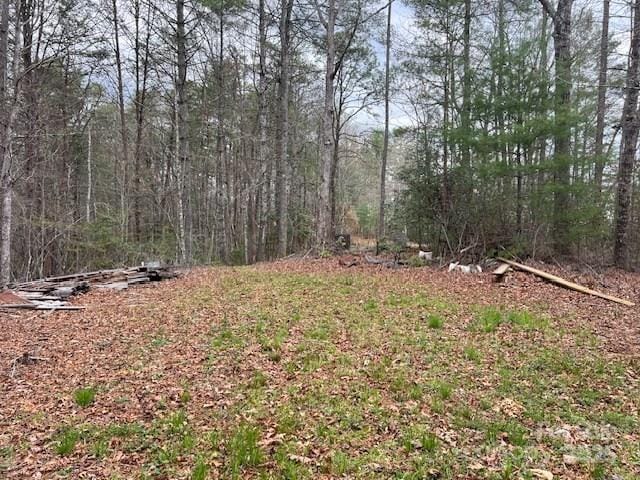 2035 Lower Tuskeegee Rd, Robbinsville, NC 28771