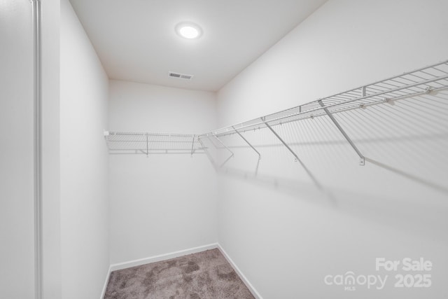 834 N Flint St, Lincolnton, NC 28092 - spacious closet with carpet