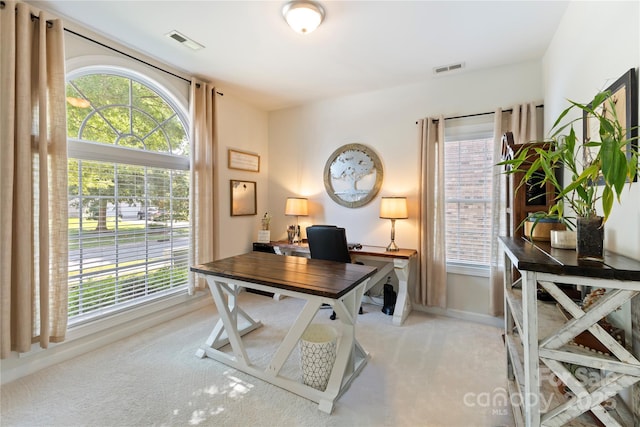 2504 River Oaks Dr, Waxhaw, NC 28173 - office space with carpet and baseboards