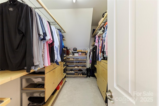 2504 River Oaks Dr, Waxhaw, NC 28173 - walk in closet featuring light carpet