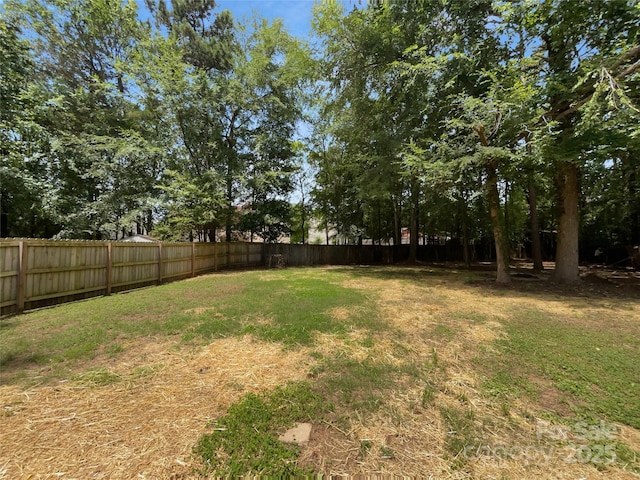 1523 Merrie Meadow Ct, Rock Hill, SC 29732 - photo 19